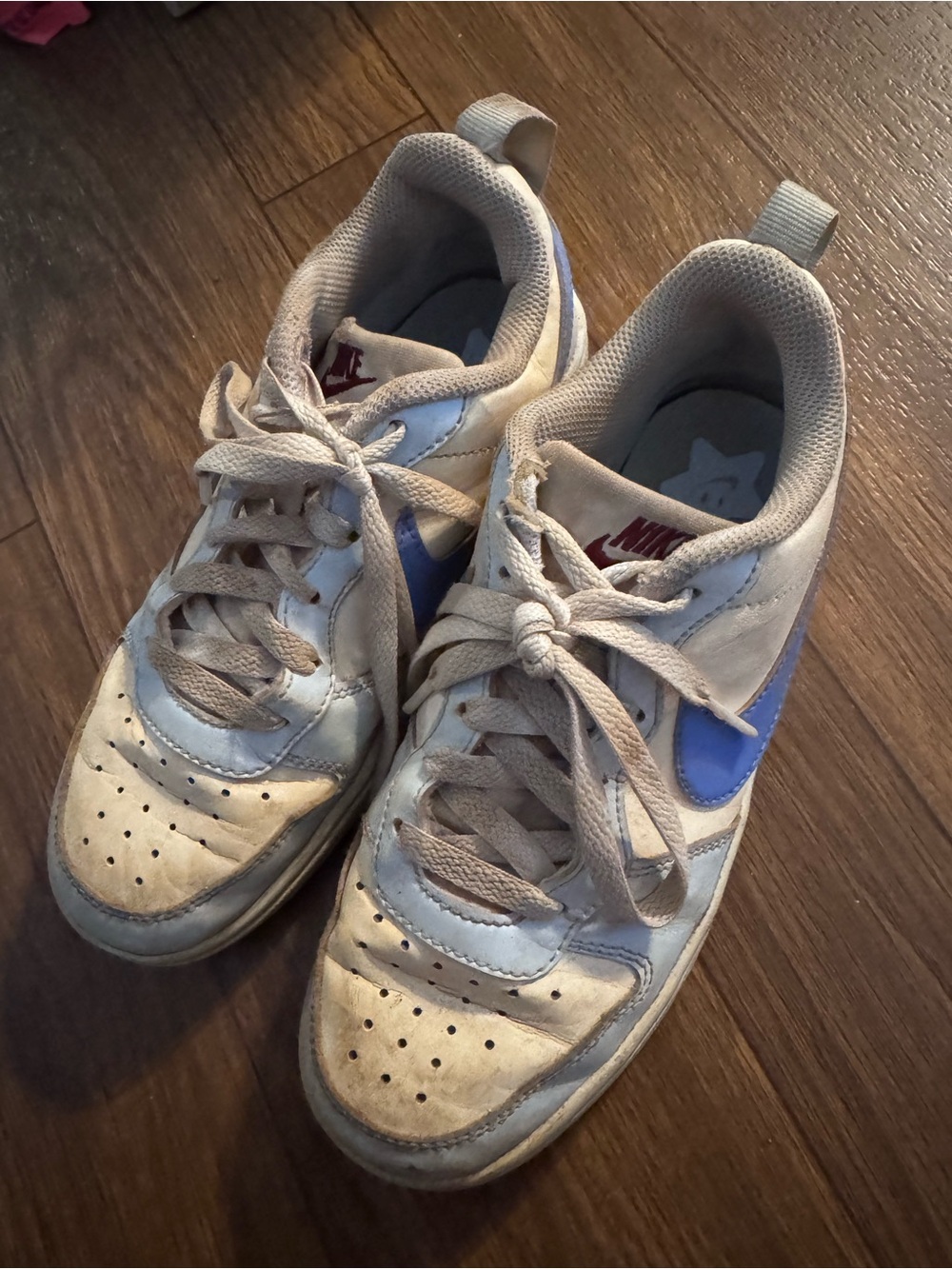 Nike Kids White and Blue Low-Top Sneakers dunks